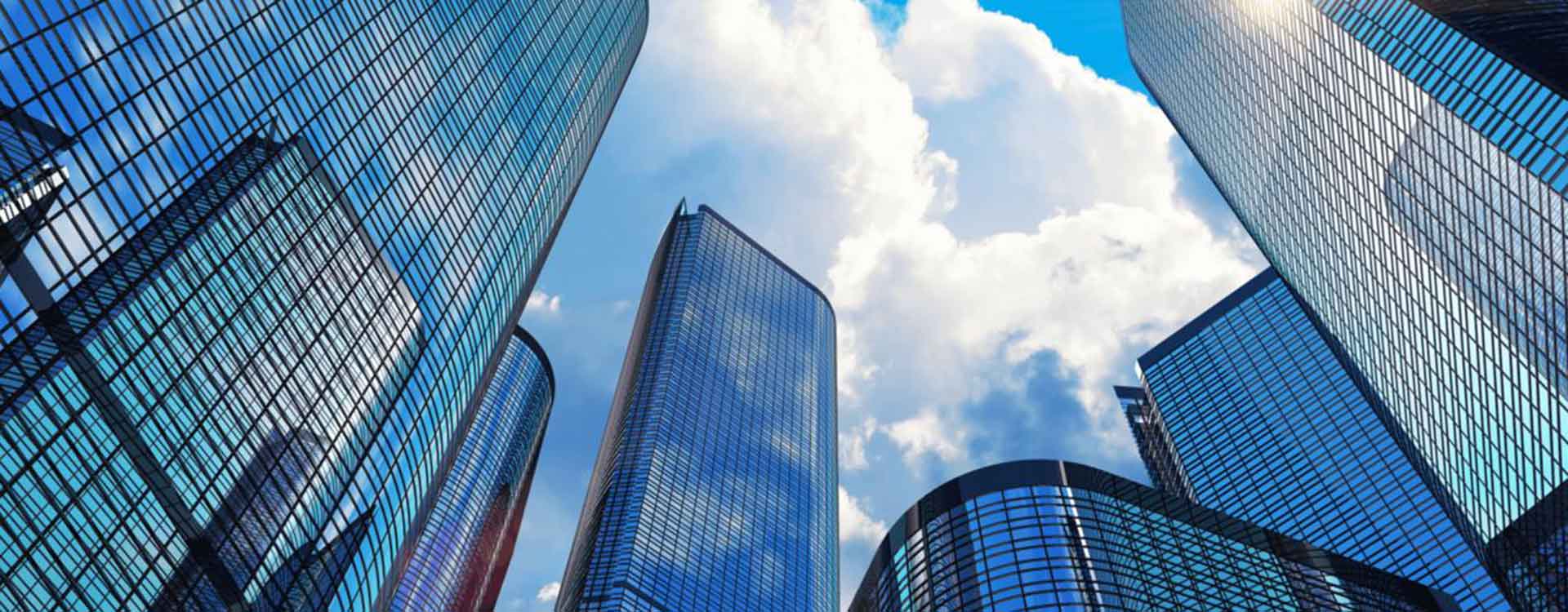 ��Ҫ��Ӫ��Χ